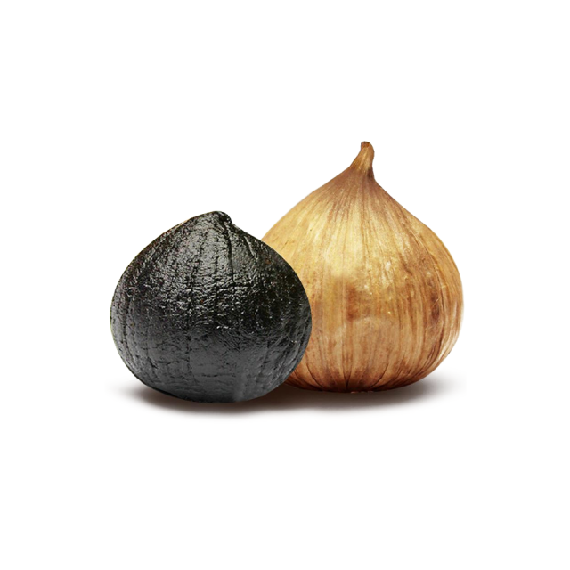Black Garlic Extract