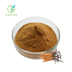 Cordyceps Sinensis Extract