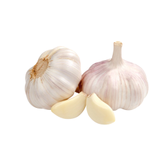 Garlic Extract