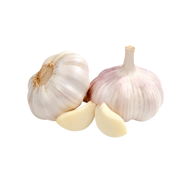 Garlic Extract