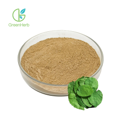 Epimedium Leaf Extract