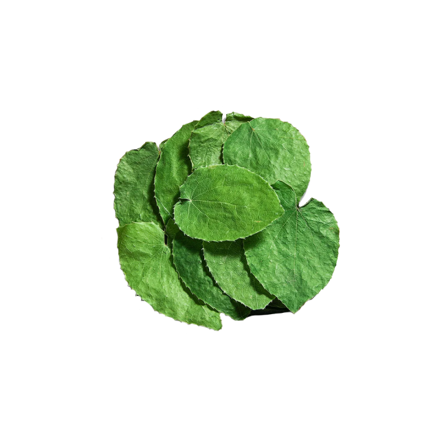 Epimedium Leaf Extract