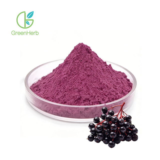 Elderberry Extract