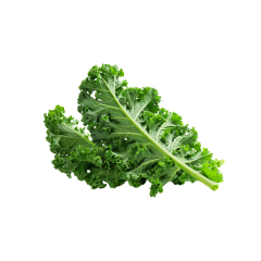 Kale Powder