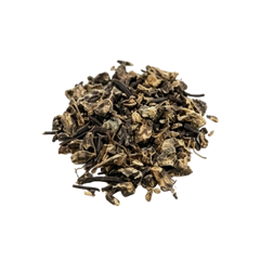 Black Cohosh Extract