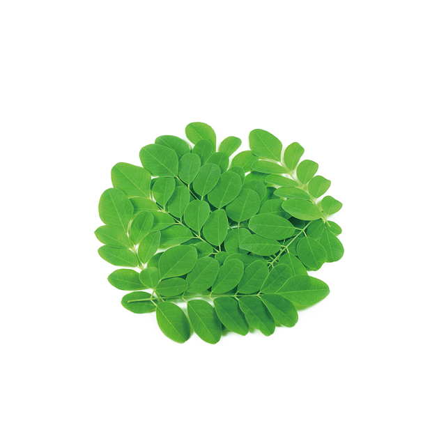Moringa Leaf Powder