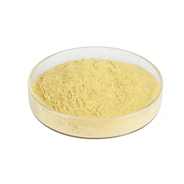 Berberine Hcl Powder 97%