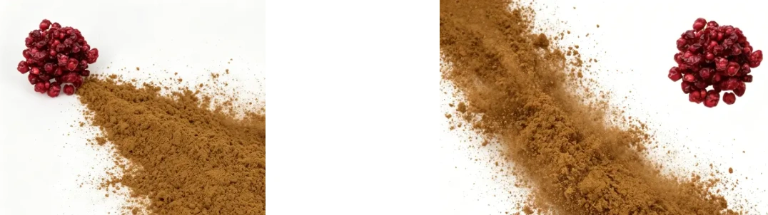 Schisandra Extract