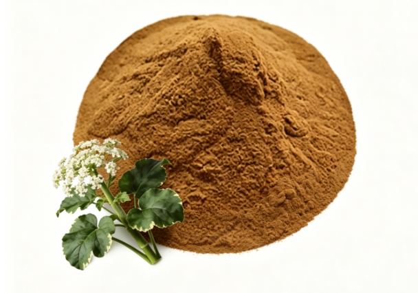 Valerian Root Extract