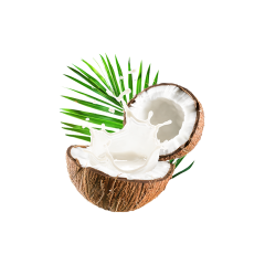 Coconut Water Powder