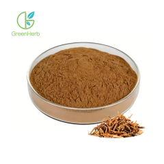 Gentian Root Powder
