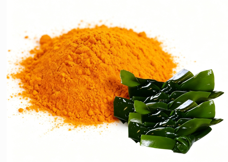 Kelp Extract