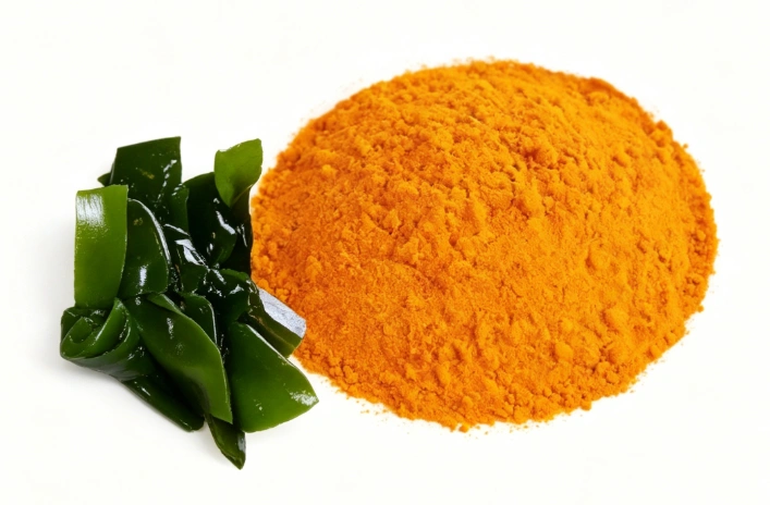 Kelp Extract