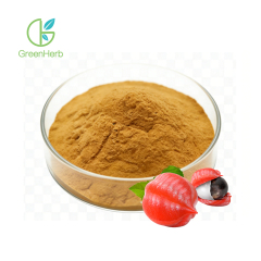 Guarana Powder close-up texture detail