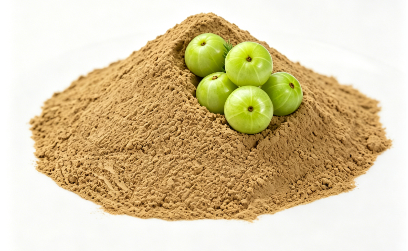 Light brown Emblica Extract fine powder detail