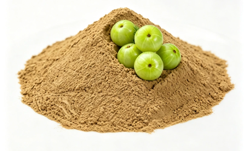 Light brown Emblica Extract fine powder detail