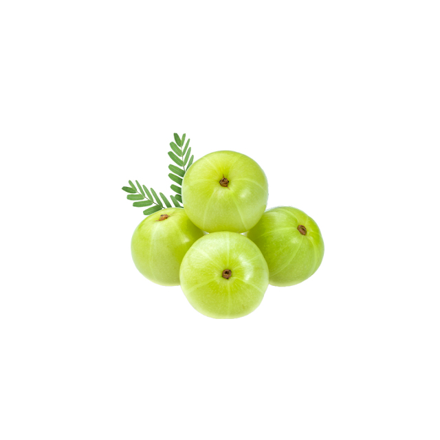 Phyllanthus emblica fresh fruit macro photography
