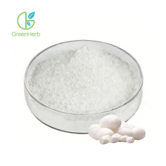 Sericin Powder close-up texture detail