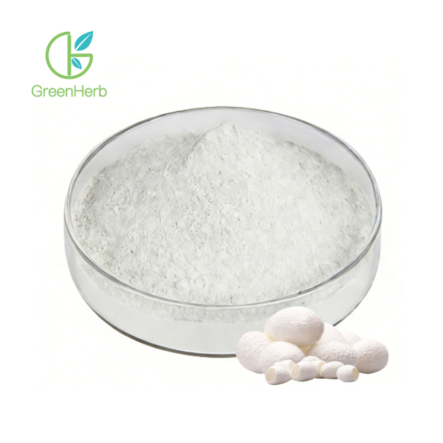 Sericin Powder close-up texture detail