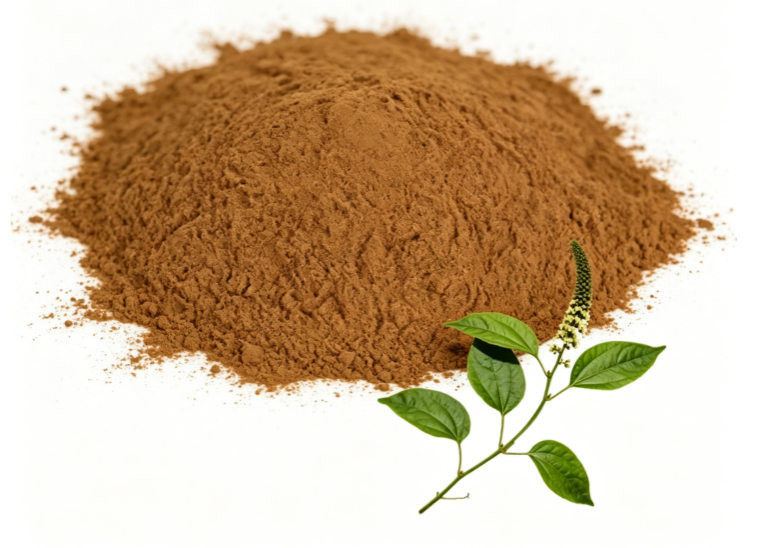 Piper Longum Extract