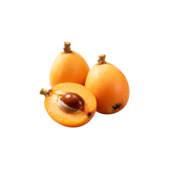 Bulk Clausena Lansium Extract in nitrogen-flushed drum
