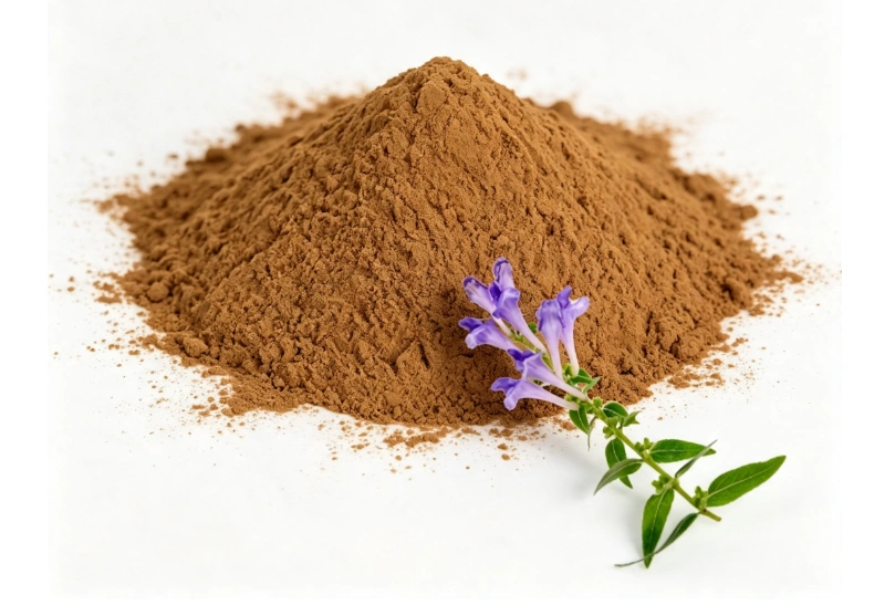 Lobelia Extract close-up texture detail