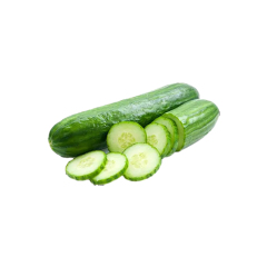 Bulk Cucumber Powder packaged in fiber drums

