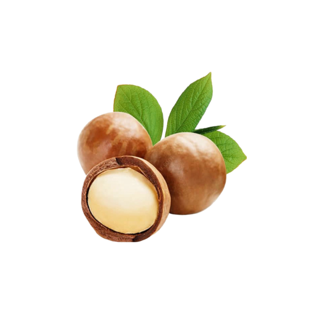 Light brown Hazelnut Extract fine powder detail