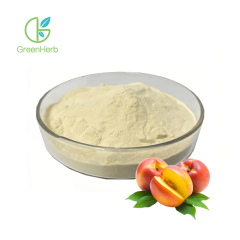 Freeze Dried Yellow Peach Powder close-up texture detail