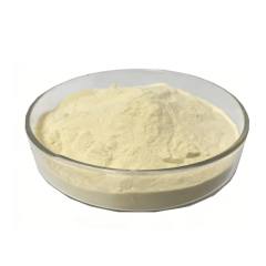 Deep golden Freeze Dried Yellow Peach Powder fine particle detail
