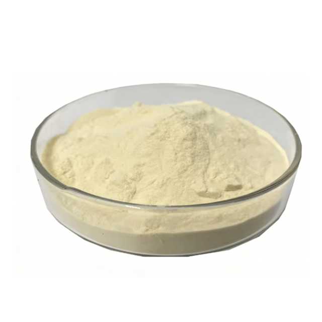 Deep golden Freeze Dried Yellow Peach Powder fine particle detail