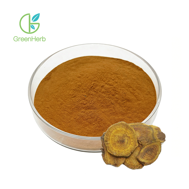 Phellinus Linteus Extract fine brown powder texture close-up detail