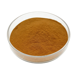 Phellinus Linteus Extract dispersing in hot water test shot