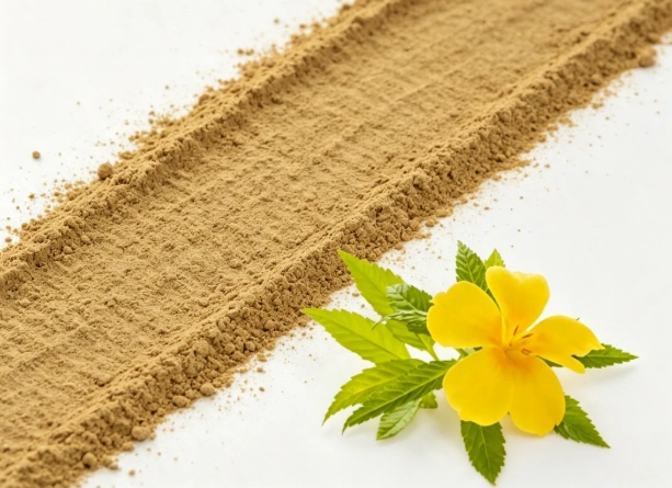 Damiana Extract close-up texture detail