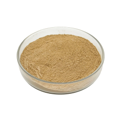 Light brown Damiana Extract fine powder detail