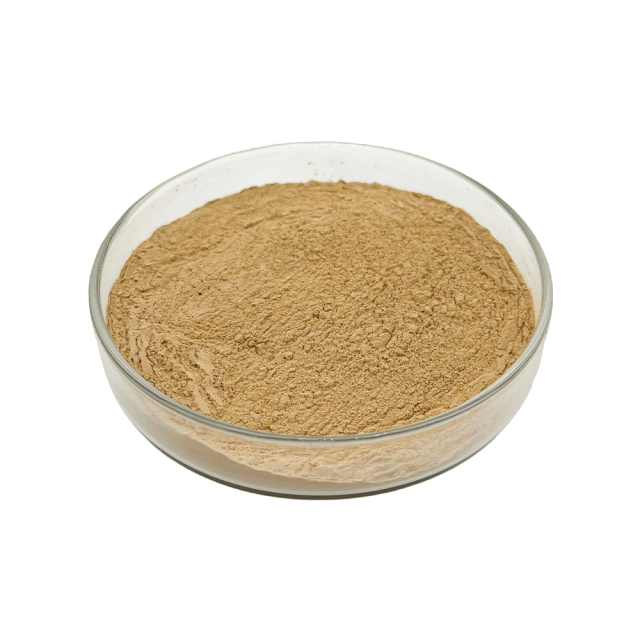 Light brown Damiana Extract fine powder detail