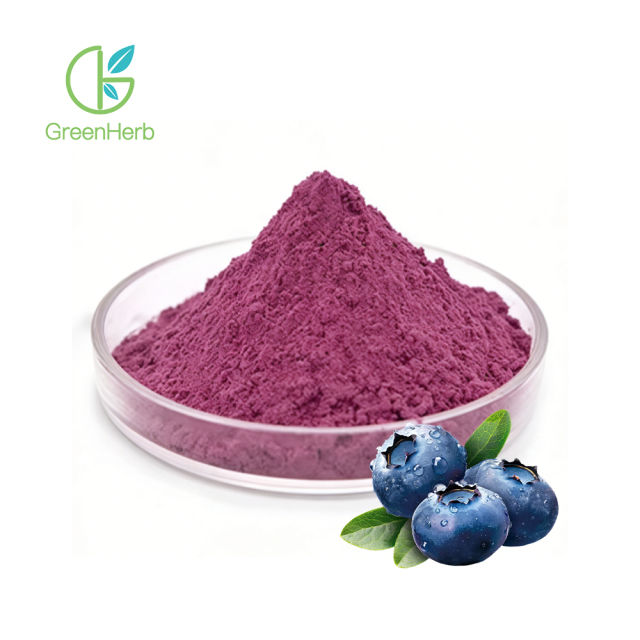 Freeze Dried Blueberry Powder close-up texture detail