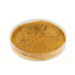 Light tan Pleurotus Eryngii Extract fine powder detail