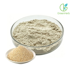 Quinoa Extract close-up texture detail