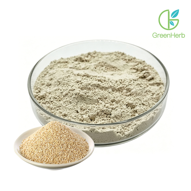 Quinoa Extract close-up texture detail