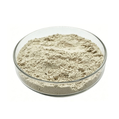 Light tan Quinoa Extract fine powder detail