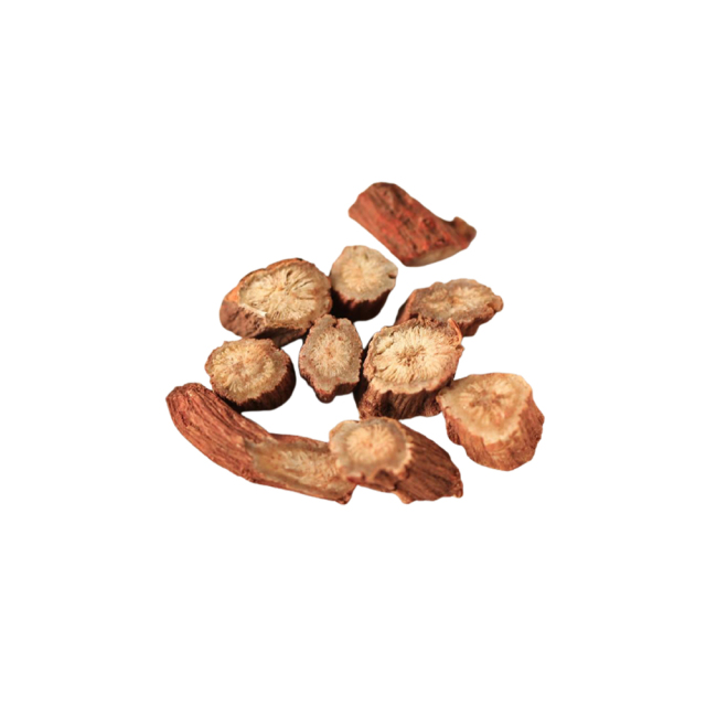Eurycoma longifolia dried root cross-section macro photography