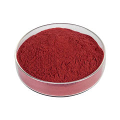 Deep red Freeze Dried Tomato Powder fine particle detail