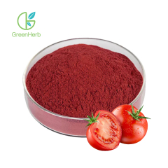 Freeze Dried Tomato Powder close-up deep red texture detail