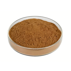 Light yellow Torreya Nucifera Extract fine powder detail
