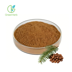 Torreya Nucifera Extract close-up texture detail