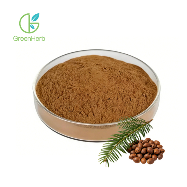 Torreya Nucifera Extract close-up texture detail