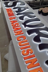 Backlit Metal Channel Letters - Custom Light Up Signs