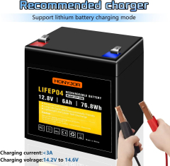 12.8v 6Ah LiFePO4 Battery LFP1206,12.8V 6Ah LiFePO4 Battery Pack (4S) | Custom & Wholesale | HONYJOR,LiPo Battery & Lithium Polymer Battery Manufacturer | Honyjor