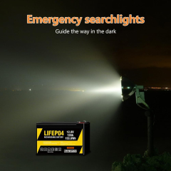 12.8v 12Ah LiFePO4 Battery LFP1212,12.8V 12Ah LiFePO4 Battery Pack (4S) | Custom & Wholesale | HONYJOR,LiPo Battery & Lithium Polymer Battery Manufacturer | Honyjor